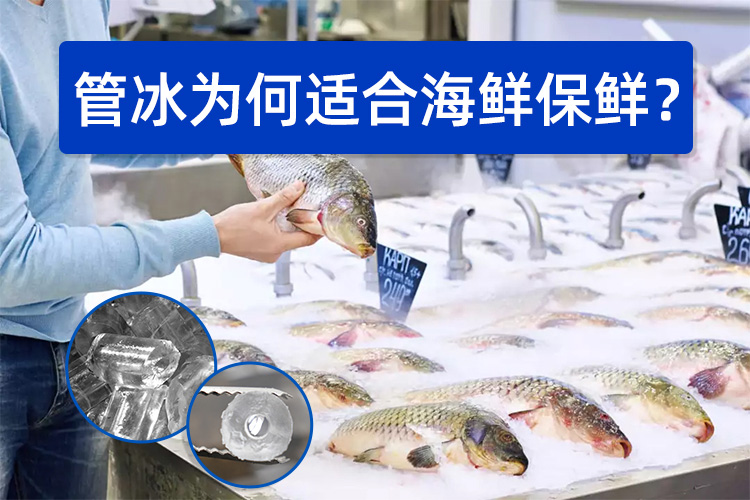 管冰為何如此適合海鮮保鮮？