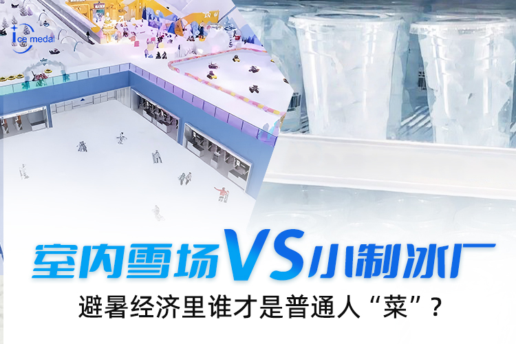 室內(nèi)雪場(chǎng)VS小制冰廠，避暑經(jīng)濟(jì)里誰(shuí)才是普通人“菜”？